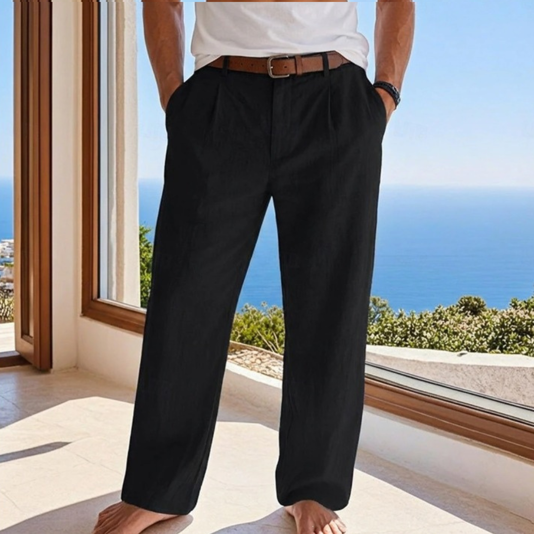 Men's Pleated Front Straight-Leg Pants, Regular Fit, Belt Loops & Side Pockets